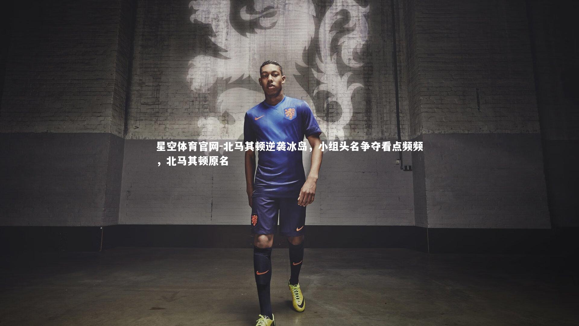 星空体育官网-北马其顿逆袭冰岛，小组头名争夺看点频频，北马其顿原名